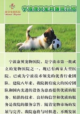 寵物醫(yī)院圖片