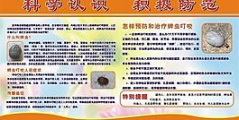 蜱蟲預防圖片