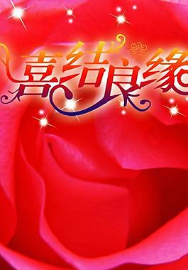 婚慶展架圖片