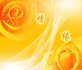 浪漫典雅婚慶背景圖片