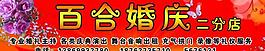 百合婚慶圖片
