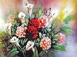 无框画 花卉 装饰画 高清图片