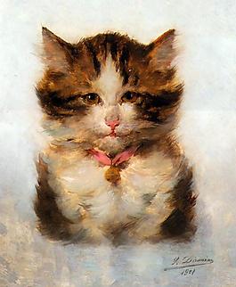 小貓圖片