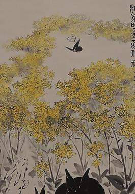 油菜花香圖片