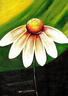 花卉圖片