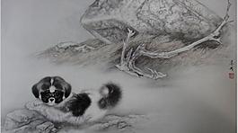觀賞犬圖片