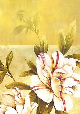 油畫 花卉圖片