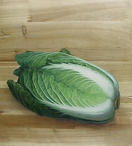 白菜圖片