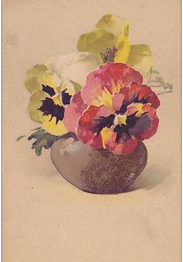 花卉圖片
