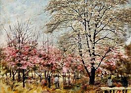 中山公園梨花圖片