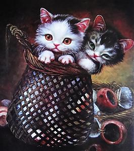 小猫图片