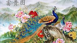 孔雀(61x40cm)圖片