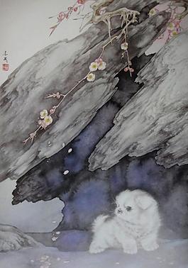 觀賞犬圖片
