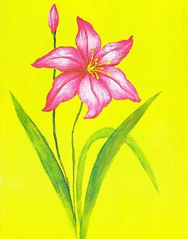 油畫花卉圖片