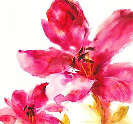 油畫花卉圖片