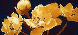 油画 无框画 花图片