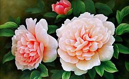 花開時節香滿園圖片