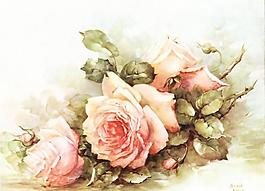 玫瑰花圖片