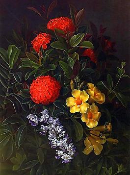 油画 花瓶里的兰花图片