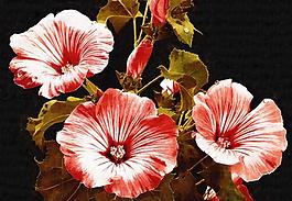 裝飾畫 無框畫 油畫 花圖片