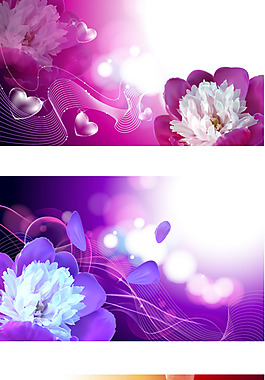 花朵曲線泡泡光影背景
