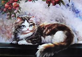 小猫图片