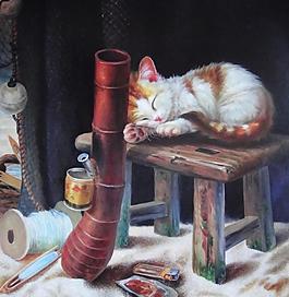 小猫图片