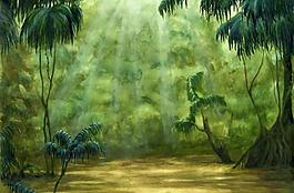 森林圖片