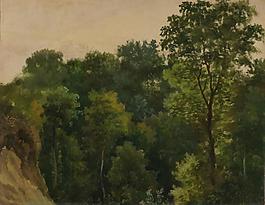 Jean-Michel Cels - Tree study大師畫家古典畫古典建筑古典景物裝飾畫油畫