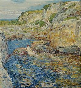 Frederick Childe Hassam - Rockweed Pool, 1902大師畫家風景畫靜物油畫建筑油畫裝飾畫