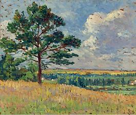 Maximilien Luce - Landscape near Mereville, 1905大師畫家風(fēng)景畫靜物油畫建筑油畫裝飾畫