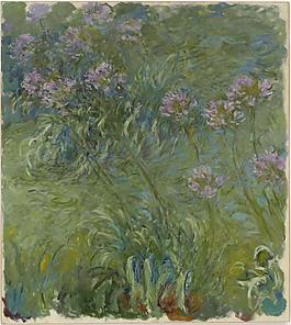 Agapanthus, 1914-17法國畫家克勞德.莫奈oscar claude Monet風(fēng)景油畫裝飾畫