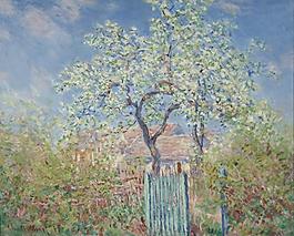 Poirier en fleurs, 1885法國(guó)畫(huà)家克勞德.莫奈oscar claude Monet風(fēng)景油畫(huà)裝飾畫(huà)