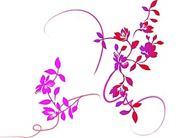 紅色花紋圖案