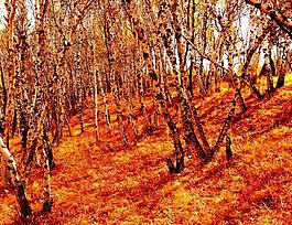 鏍?wèi)鏋楋L(fēng)景建筑田園植物水景田園印象畫派寫實(shí)主義油畫裝飾畫