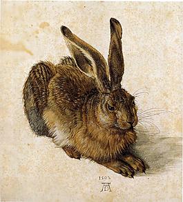 (1)德国画家阿尔弗雷德丢勒Albrecht Dürer人物肖像油画装饰画油画