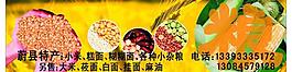 五谷雜糧圖片