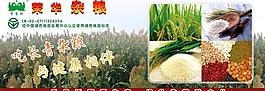 榮華雜糧宣傳dm圖片