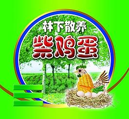 柴雞蛋圖片