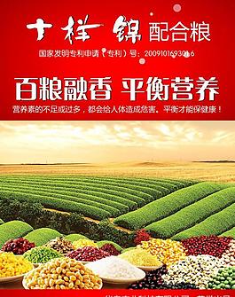 糧食宣傳 海報圖片