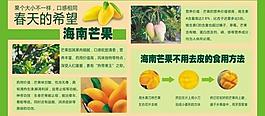 芒果圖片