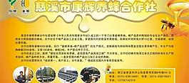 蜂蜜圖片