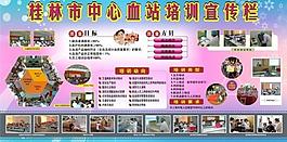 血站系統(tǒng)培訓(xùn)宣傳欄圖片