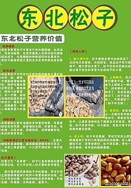 东北松子图片