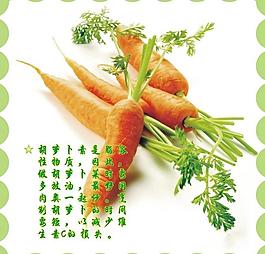 蔬菜圖片