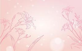 百合花圖片