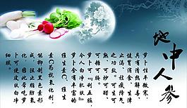蘿卜圖片