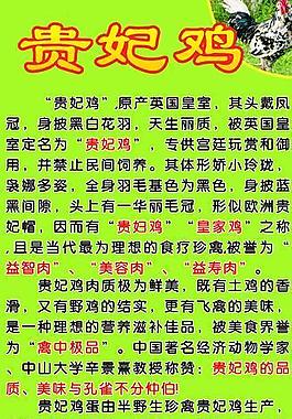 貴妃雞圖片