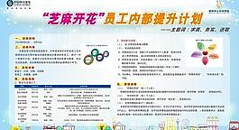 員工提升計劃圖片