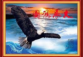 雄鷹圖片